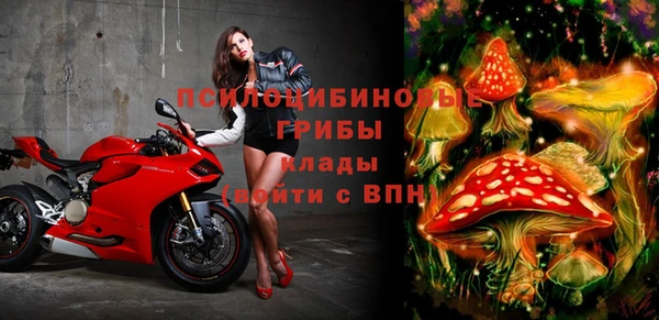 гашик Алзамай