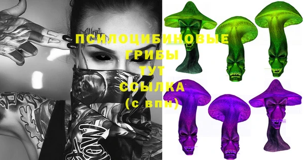 эйфоретик Алексин