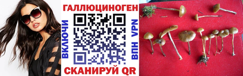 купить  цена  Когалым  мориарти какой сайт  Псилоцибиновые грибы Psilocybine cubensis 